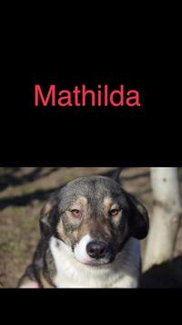 Mathilda 2